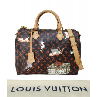 Louis Vuitton Catogram Speedy Bandouliere 30 Bag