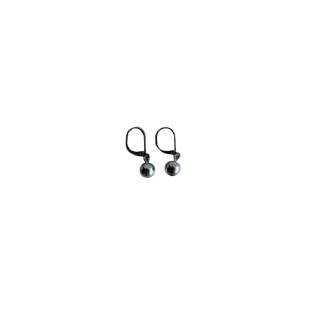 Ralph Lauren Silver Earrings