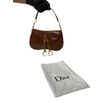 Dior Lizard Brown Double Saddle Bag 