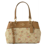 Coach White Daisy Print Coated Canvas and Leather Mini Brooke Carryall Satchel
