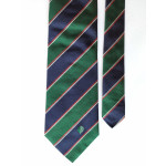 SIlvio Cattaneo Green Blue Tie