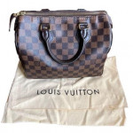Louis Vuitton Damier Ebene Canvas Speedy 25 Handbag