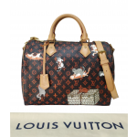 Louis Vuitton Catogram Speedy Bandouliere 30 Bag