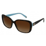 Tiffany & Co TF 4092 Havana/Blue Sunglasses