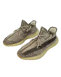 Yeezy Boost 350 v2 Zyon Sneakers