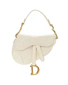 Dior Oblique Saddle Bag