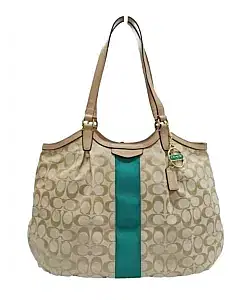 Coach Signature Devin Stripe Shoulder Bag