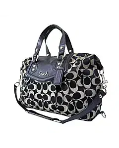 Coach Ashley Signature Satchel