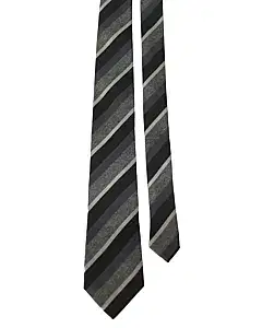 Z Zegna Multicolor Tie