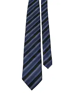 Zegna Ermenegildo Blue & Black Tie