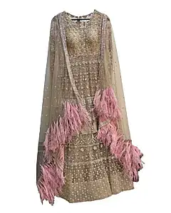 Falguni Shane Peacock Long Cocktail Gown With A Feather Dupatta