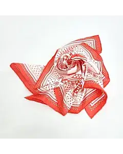 Hermes scarf