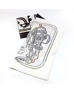 Hermes silk stole