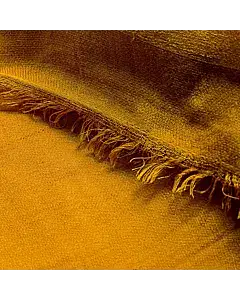 Max Mara Orange Scarf