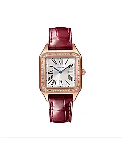 Cartier Santos-Dumont WJSA0017 Silvered Sunray Dial Small