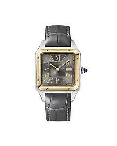 Cartier W2SA0028 Santos de Cartier Grey Sunray Dial Large