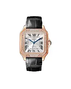 Cartier WJSA0012 Santos de Cartier Sunray-Effect Dial Medium