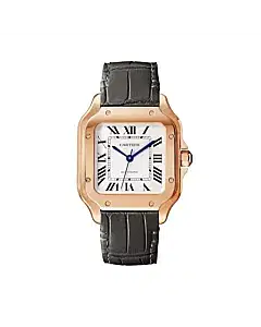 Cartier WGSA0028 Santos de Cartier Opaline Dial Medium