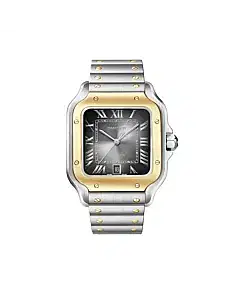 Cartier W2SA0030 Santos de Cartier Anthracite Grey Dial Large