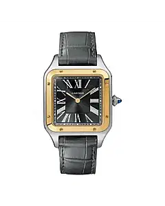 Cartier W2SA0015 Santos-Dumont Black Dial
