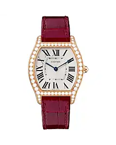 Tortue Watch WA501008
