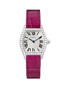 Tortue Watch WA501007
