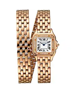 Panthère de Cartier WJPN0014 Watch  