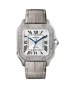 Santos De Cartier Watch WJSA0006
