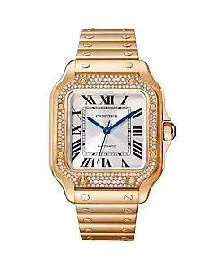 Santos De Cartier Watch WJSA0009