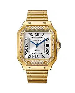 Santos De Cartier WJSA0010 Watch