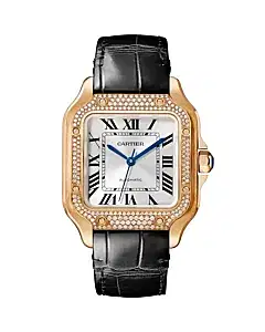 Santos De Cartier WJSA0007 Watch