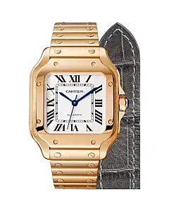Santos De Cartier Watch WGSA0008