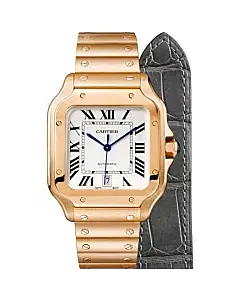Santos De Cartier Watch WGSA0007
