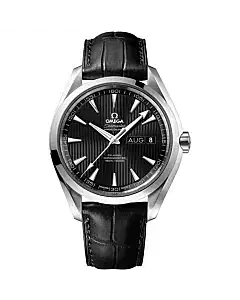 Omega 231.13.43.22.01.002 Aqua Terra Annual Calendar Watch  –...