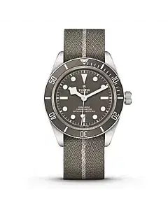Tudor Black Bay Fifty-Eight 39mm 79010SG Taupe Domed Dial Fabric Strap