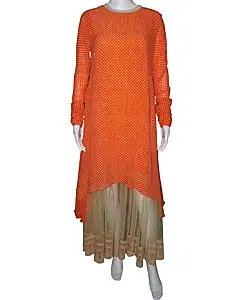 Sabyasachi Orange & Golden Dress