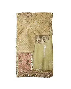 Sabyasachi Net Embroidered Saree