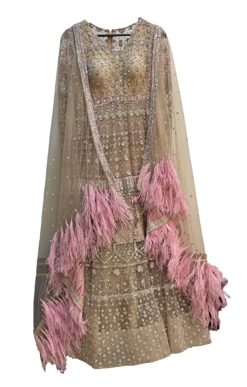 Falguni Shane Peacock Long Cocktail Gown With A Feather Dupatta