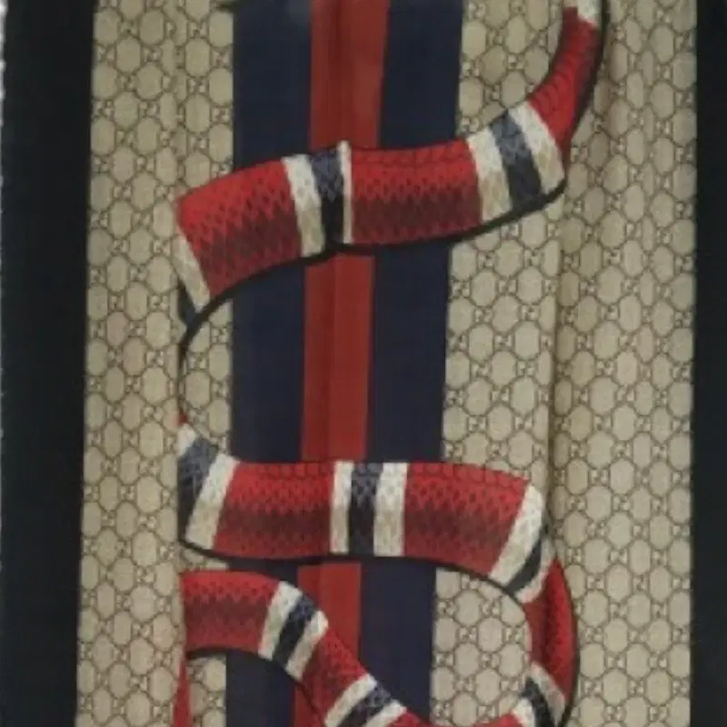 Gucci Web and Kingsnake Print Wool Scarf