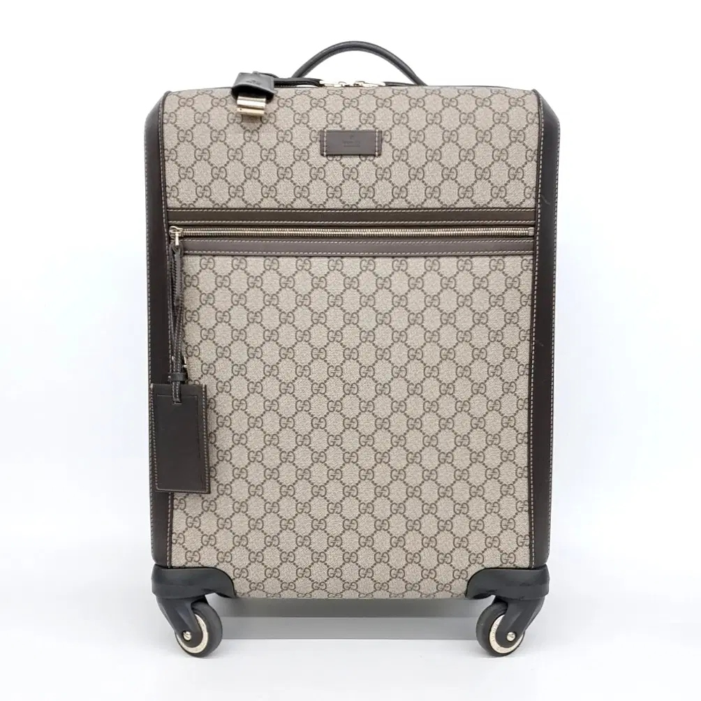 Gucci Carrier (293909)