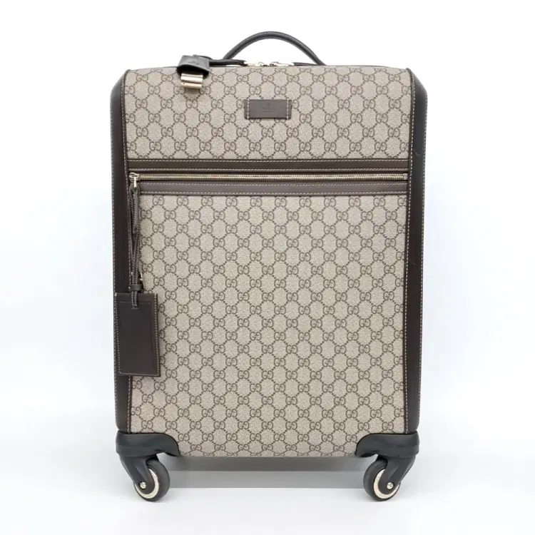 Gucci Carrier (293909)-Hover-Image