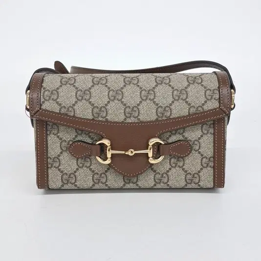 Gucci Horsebit 1955 Mini Bag (699296)