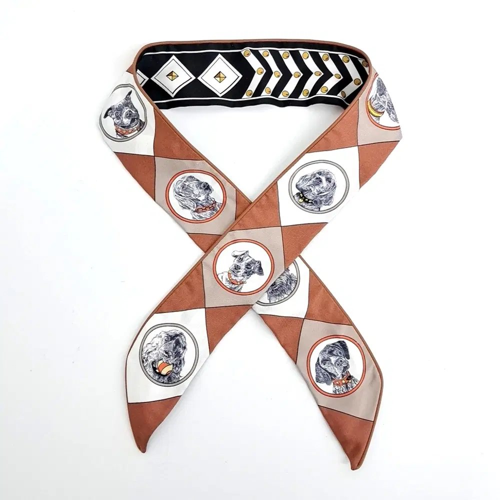 Hermes Silk Twilly