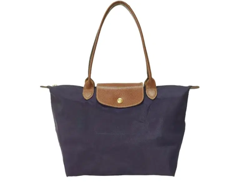 Longchamp Le Pliage Leather Bag-Hover-Image