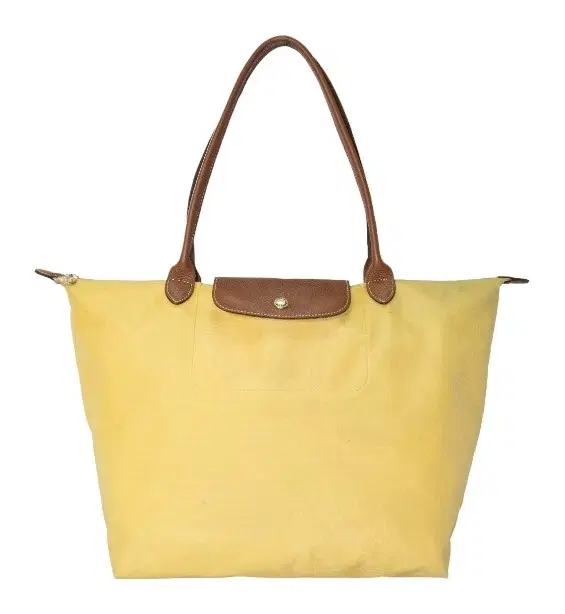 Longchamp Le Pliage Leather Bag