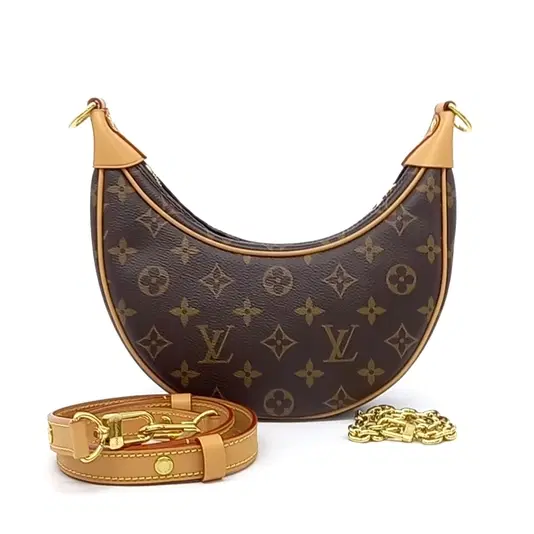 Louis Vuitton loop bag