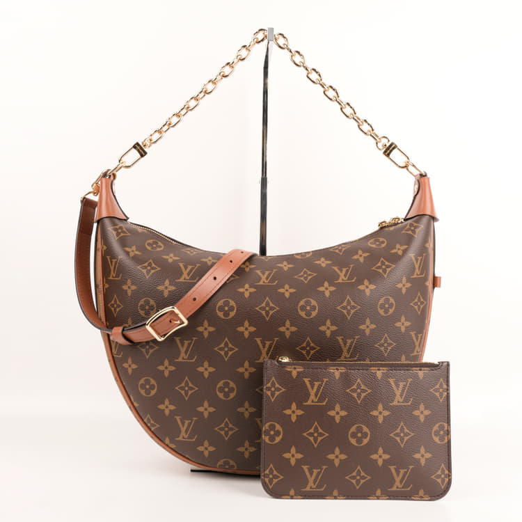 Louis Vuitton Monogram Canvas Loop Hobo Bag-Hover-Image