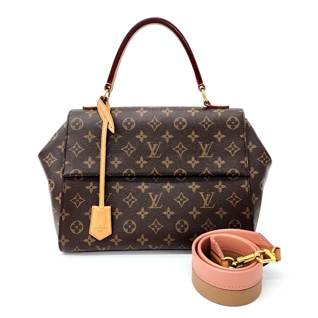 Louis Vuitton Monogram Cluny MM