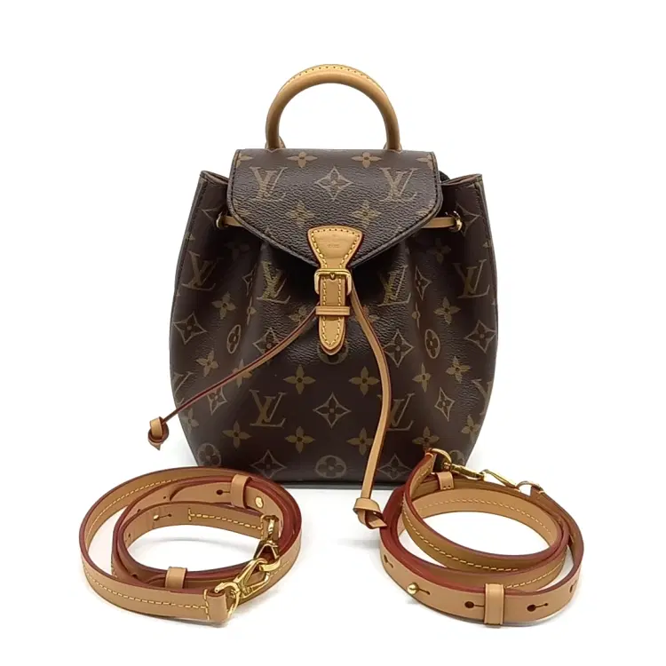 Louis Vuitton Monogram Montsouris BB-Hover-Image