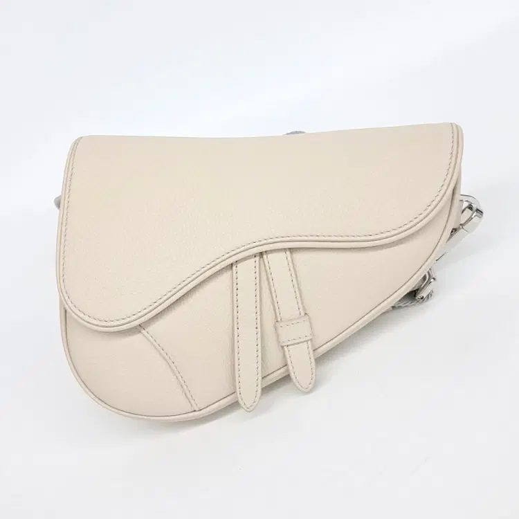 Dior Homme Mini Saddle Bag-Hover-Image